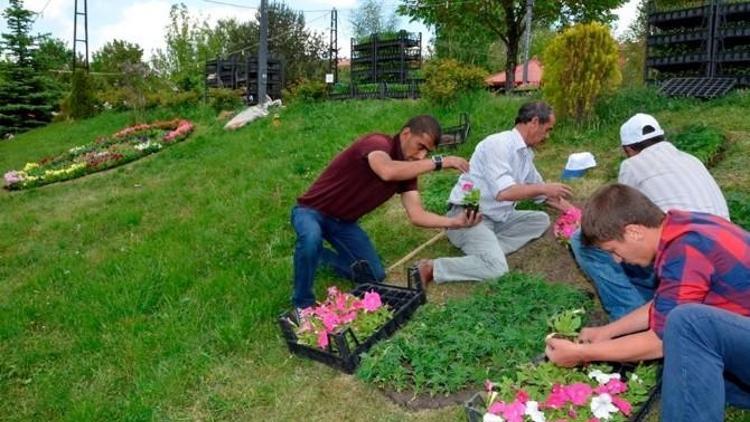 Palandöken Belediyesi, Diktiği Çiçeklerle İlçeyi Adeta Bir Renk Cümbüşüne Döndürdü