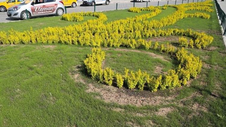 Büyükşehir Belediyesi 500 Bin Adet Çiçek Dikiyor, Erzurum Rengarenk Oluyor