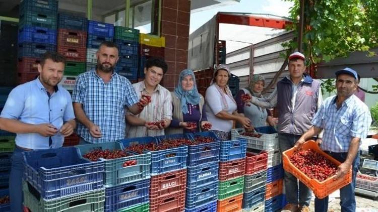 Selendili Kiraz Üreticileri Fiyatlardan Memnun Değil