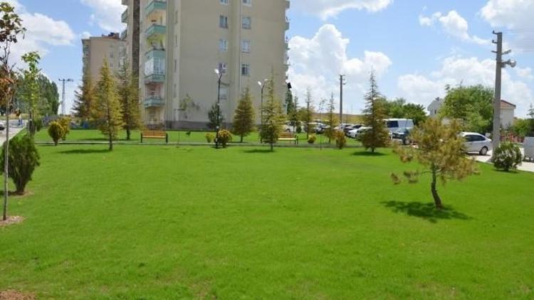 Atıl Arazi Park Oldu