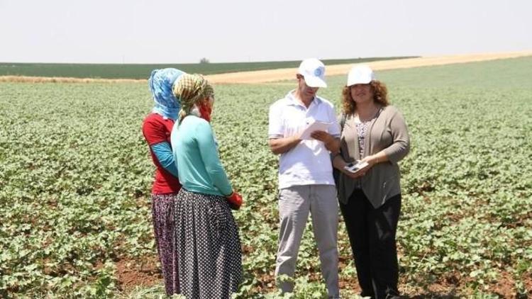 Kadın Ve Eşitlik Komisyonu Üyeleri Mevsimlik İşçileri Ziyaret Etti