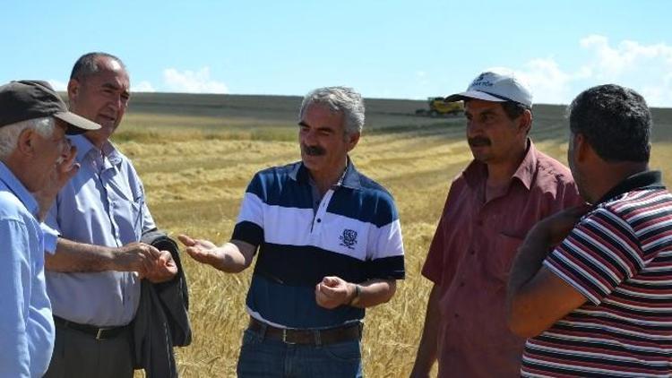 Kulu’da Arpa Hasadına Başlandı