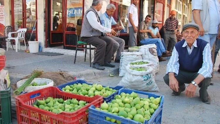 İlek Fiyatları Tavan Yaptı