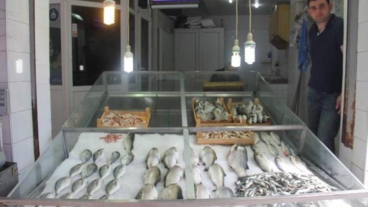 Balık Fiyatları Düştü, Satışlar Arttı