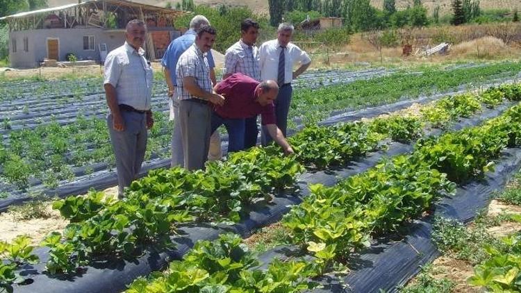 Demonstrasyon Ve Üretim Sahaları Gezildi