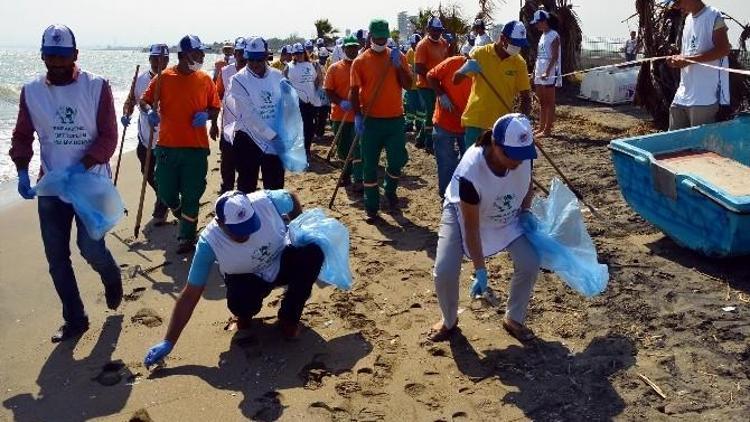 Avrupalı Öğrenciler, Deniz Kaplumbağalarının Üreme Alanlarında Temizlik Yaptı