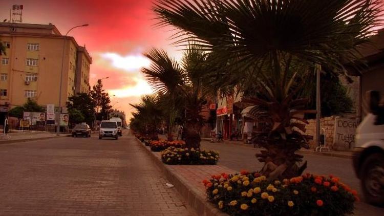 Çiçeklerle Donanan Araban, Tablo Resim Görünümünde