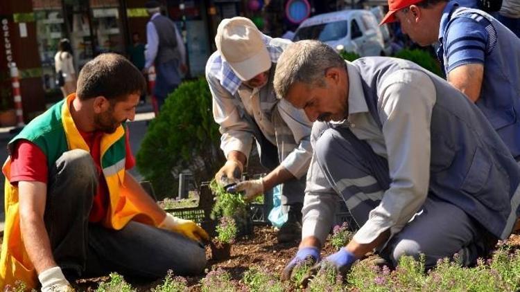 Diyarbakır’da 6 Ayda 600 Bin Mevsimlik Çiçek Ekildi