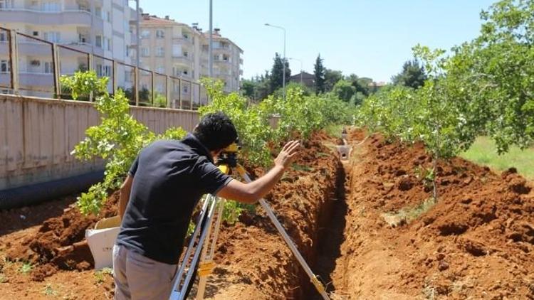 Fıstık Parkı’nda Çalışmalar Sürüyor