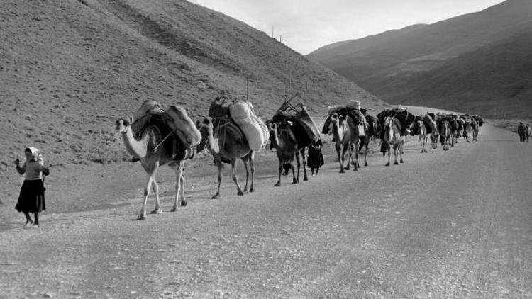 Bursa Fotofest’in Bu Yılki Teması Göç Oldu