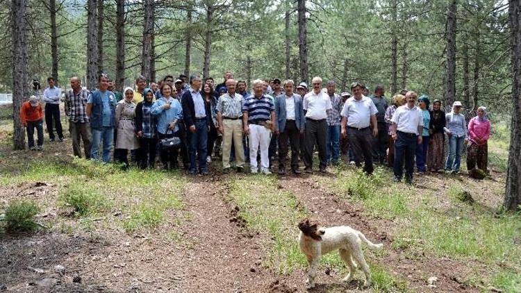 Köylülere Siyah Elmas Anlatıldı