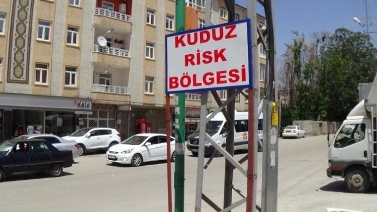 Van’da Kuduz Köpek Saldırılarının Ardından