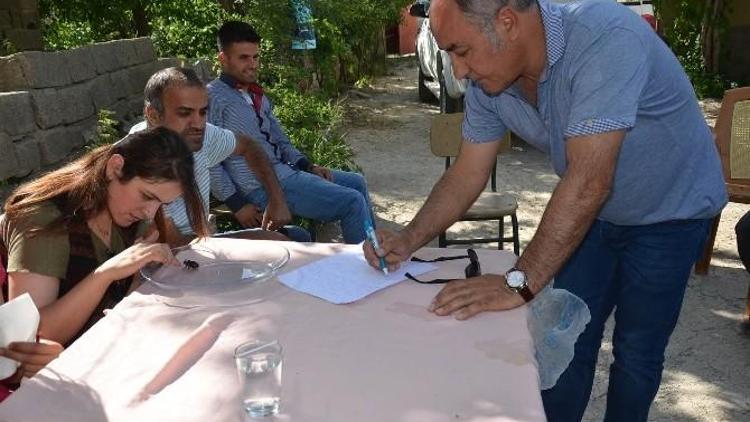 ‘Gergedan Böceği’ İçin Yetkililer Harekete Geçti