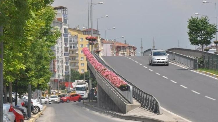 Uşak’ta Köprülü Kavşak Çiçekler İle Rengarenk