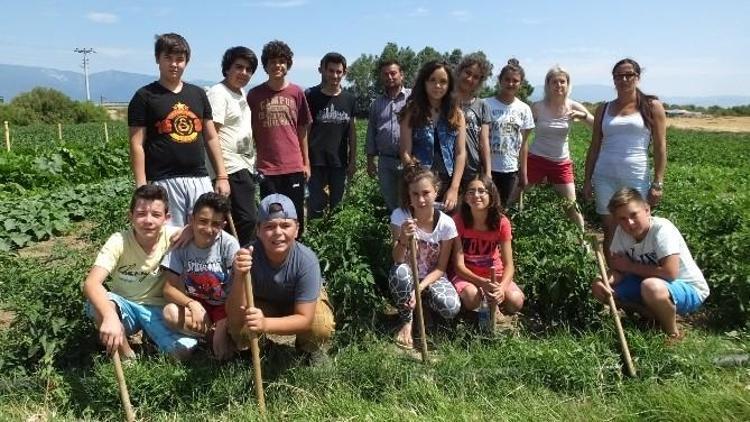Öğrenciler Kampta Sebze Yetiştirmeyi Öğreniyor