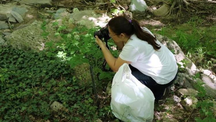 Sadağı Kanyonu Biyolojik Çeşitlilik Ve Envanter Çalışması Başladı