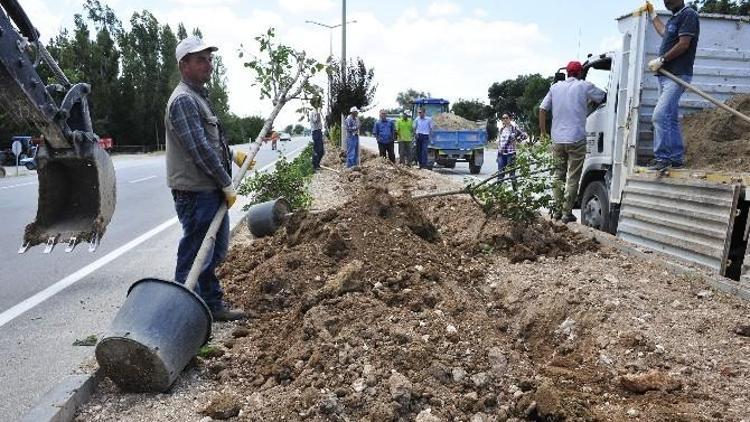 Karaman Belediyesi Yemyeşil Bir Karaman İçin Çalışıyor