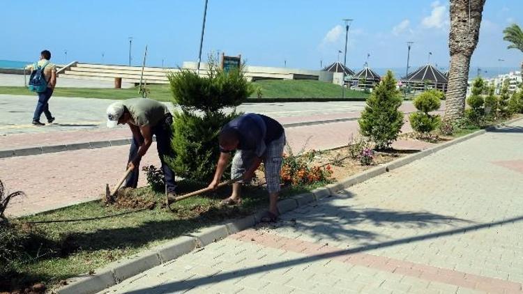 Erdemli’de Park Bahçe Düzenlemesi