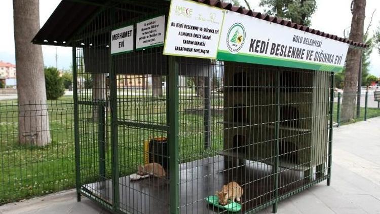 Bolu Belediyesi, Sokak Kedilerine Ve Kuşlara Yuva Yaptı