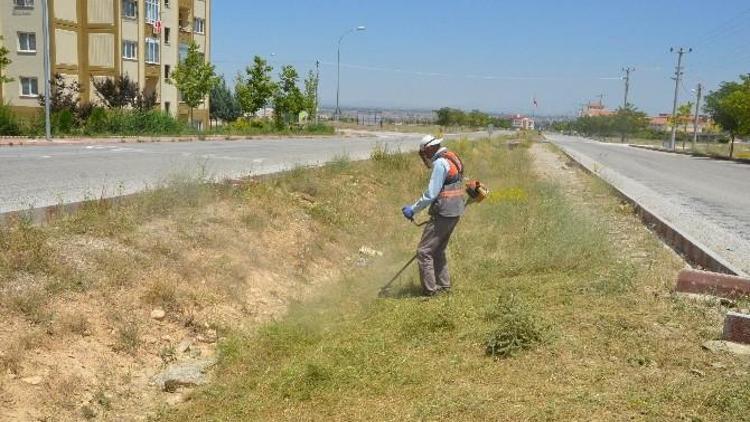 Ereğli’de Temizlik Çalışmaları Sürüyor