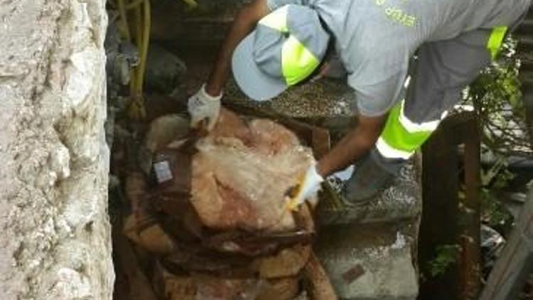 Bozulmuş ET Yedirilen Köpekler Tedavi Altına Alındı