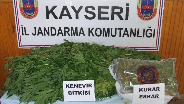 Jandarma Ekiplerinden Uyuşturucu Operasyonu