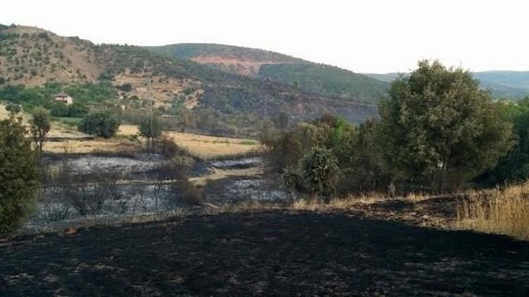 Pütürge’de Bahçe Yangını Korkuttu