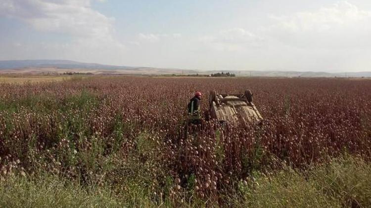 Otomobil Haşhaş Kapsülü Ekili Tarlaya Devrildi