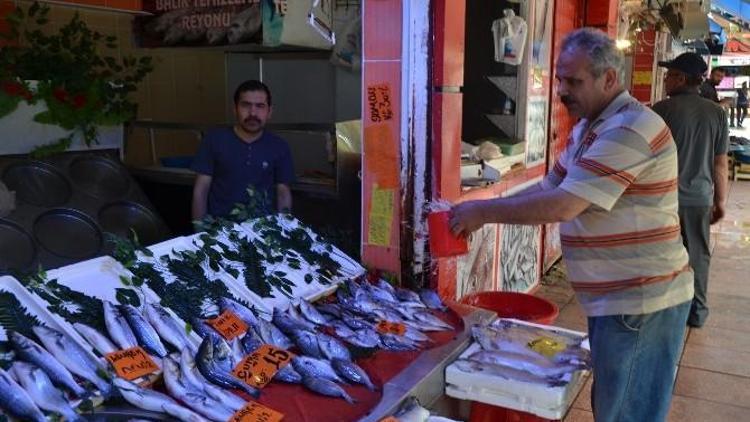 Eskişehirli Ramazan Ayında Ucuz Balık Tüketti