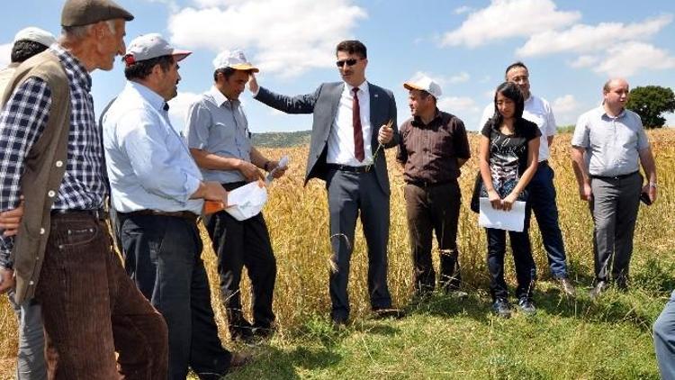 Kütahya’nın 305 Bin Hektar Tarım Arazisi Var