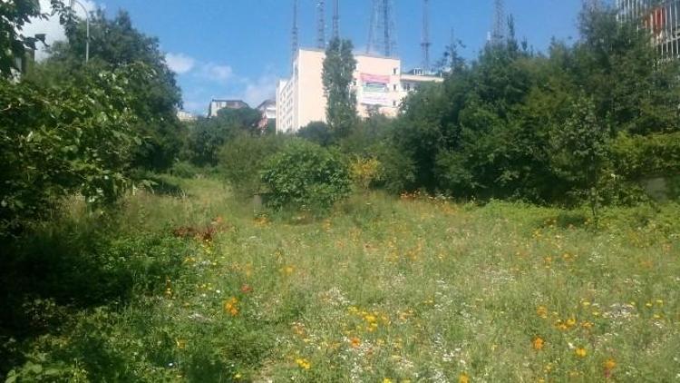 Üsküdar’da Boş Arsalar Çiçek Bahçesine Dönüştü