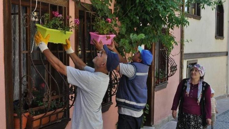 Odunpazarı’nda Çiçekler Açtı