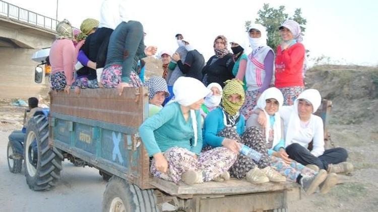 İş Güvenliği Sadece Baret Takmak Değildir