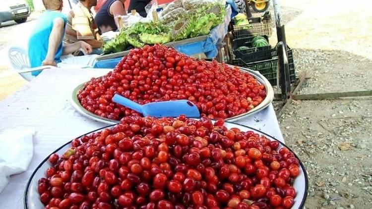 Şenköy Kızılcık Şenliği 2 Ağustos’ta Yapılacak