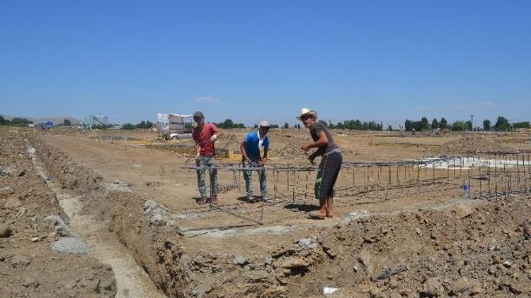 Muş’ta Sokak Hayvanları İçin Barınak Yapılıyor