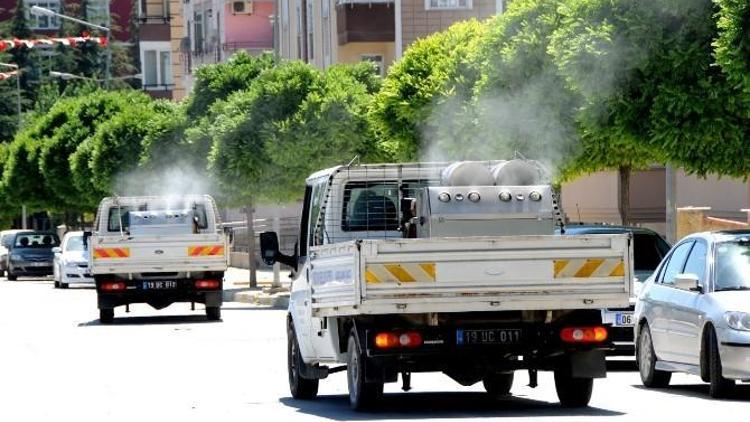 Çorum Belediyesi’nden 3 Koldan Sinekle Mücadele Çalışması