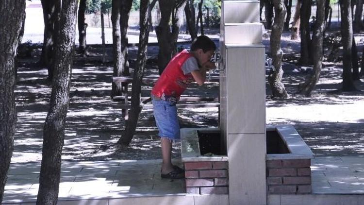 Çerkezköy Tepe Piknik Alanı Yenilenecek