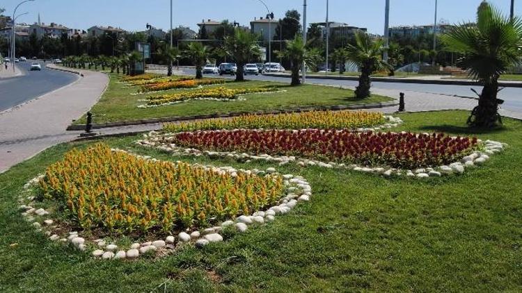 Şanlıurfa ‘Büyükşehirle’ Çiçek Açıyor