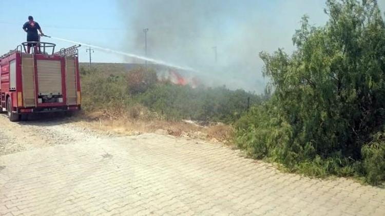 Didim’deki Yangın Sitelere Sıçramadan Söndürüldü