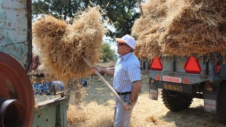 Milletvekili Özdağ Buğday Hasadı Yaptı