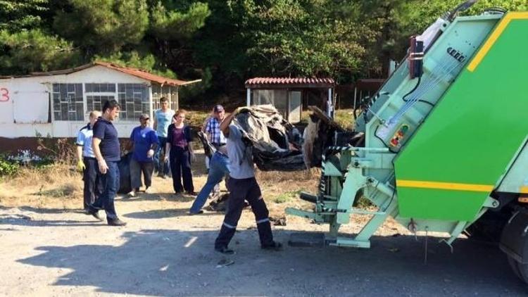 Belediye Personeli Elleriyle İlçeyi Temizledi