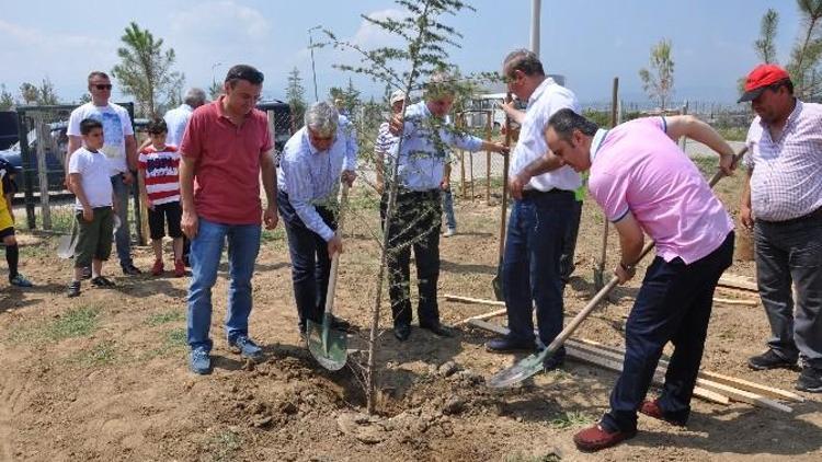 Afet Evleri Yeşilleniyor