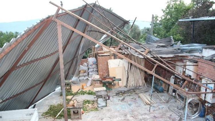 Aydın’da Fırtına Çatı Uçurdu, Meyveler Dibine Döküldü