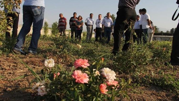 Iğdır’da Tarımsal Nüfus Gençleşiyor Projesi