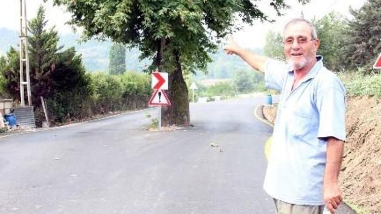 Yol Ortasında Kalan Çınar Köyün Timsali Oldu