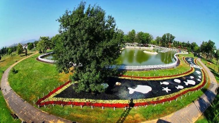 Kent Park Artık Daha Yeşil