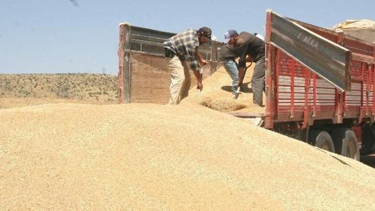 Yozgat’ta TMO’da Hububat Alımları Sürüyor