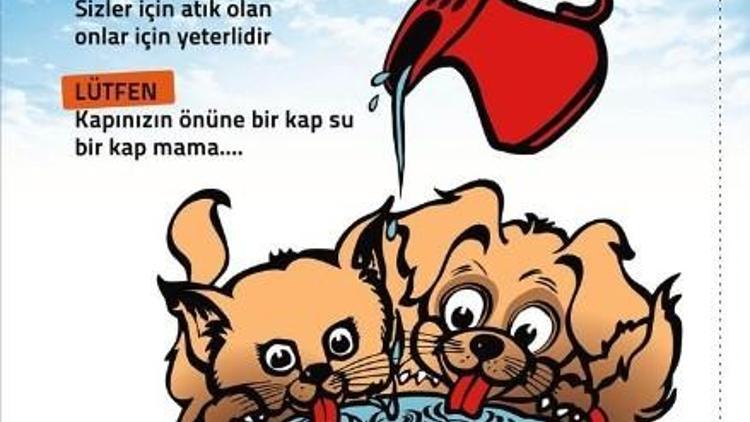 Sokak Hayvanlarına “Bir Kap Su Dolu Mutluluk” Projesi