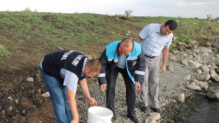 Aygır Ve Deniz Gölünde Balıklandırma Çalışması Yapıldı