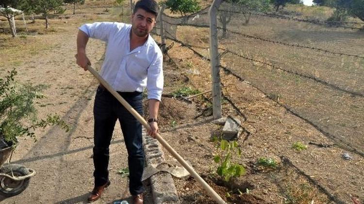 MHP Merkez İlçe Başkanı Kalfaoğlu, Şehitler İçin Fidan Dikti